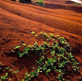 魔兽世界everlook服怎么注册？WOW怀旧国际服everlook服注册下载教程